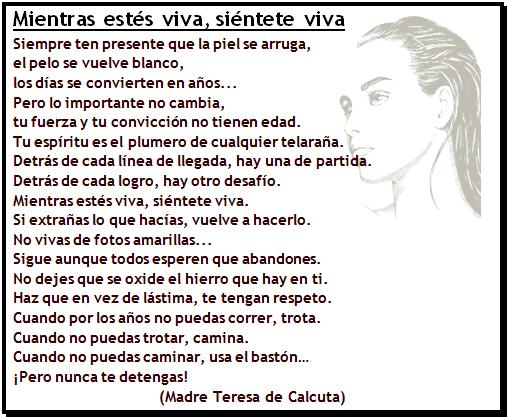 Dia de la mujer