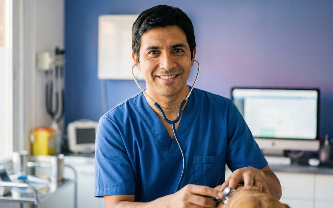 Auxiliar Veterinario